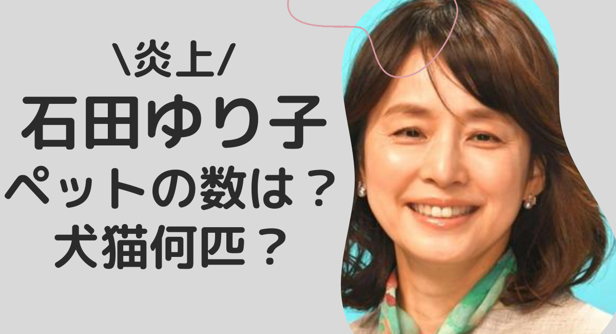 石田ゆり子のペットの数は？